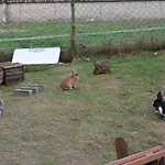Mit Balkon Und Zwei Schlafzimmern By Interhome Apartment Weissenstadt
